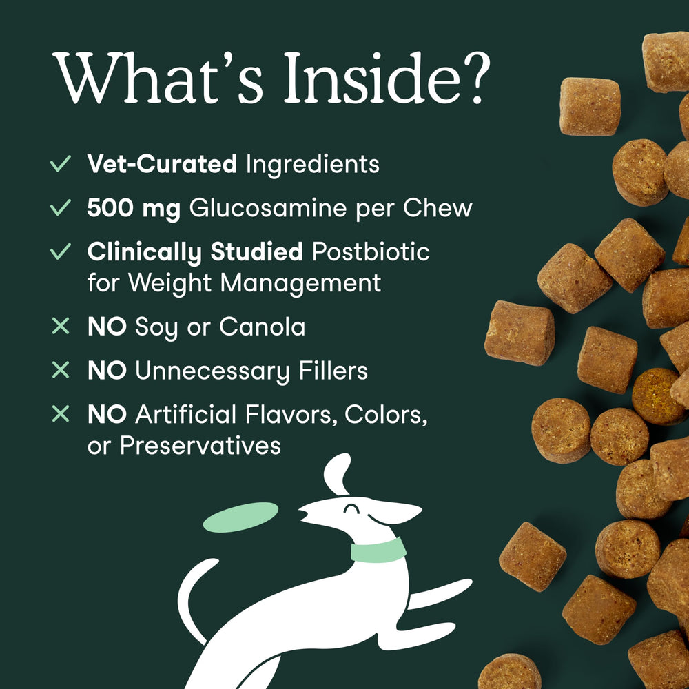 Fera Pets: cúrcuma orgánica y boswellia favoreciendo el cuidado natural
