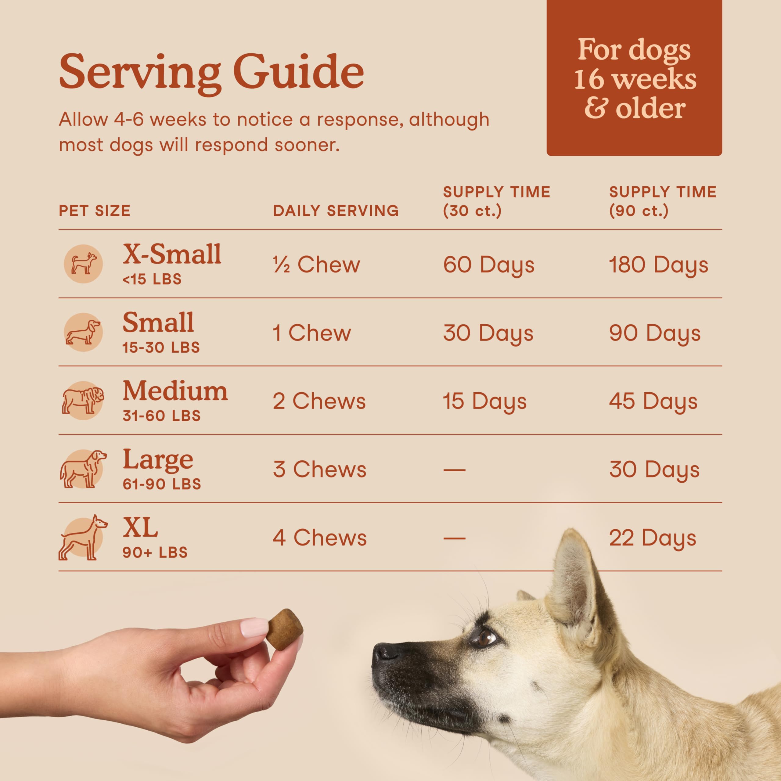 Ingrediente clave: inulina de raíz de chicoria en Fera Pets.