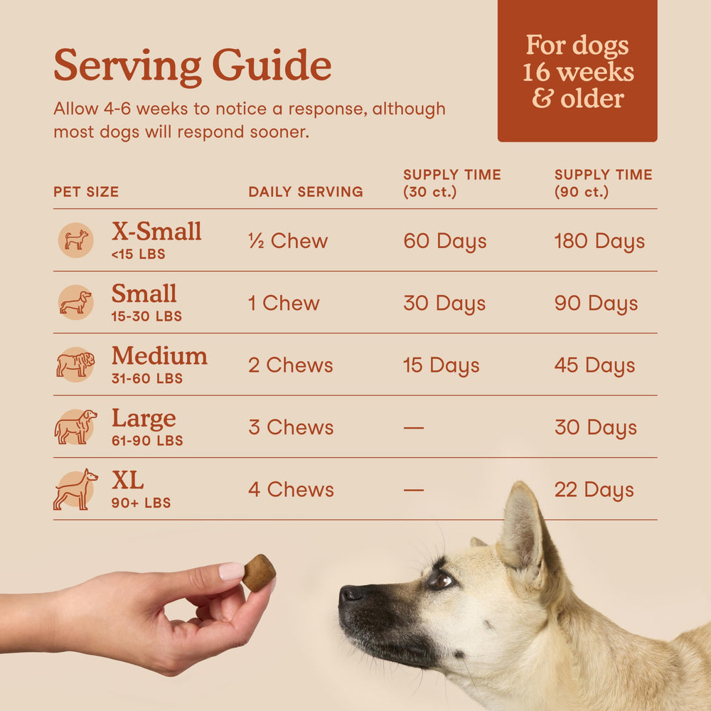 Ingrediente clave: inulina de raíz de chicoria en Fera Pets.