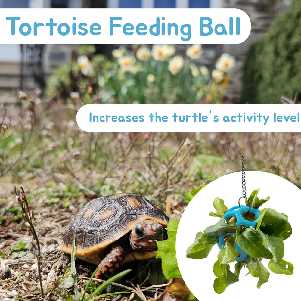Cadena ajustable Fertrey: colocación versátil en el hábitat de la tortuga
