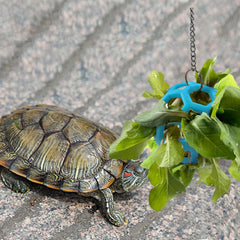 Juego de forraje Fertrey para tortugas: anima la actividad natural