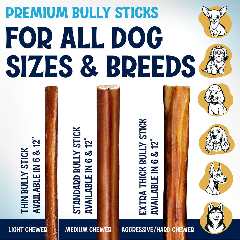 FETCHERONI jumbo bully stick empaque de 10 unidades.