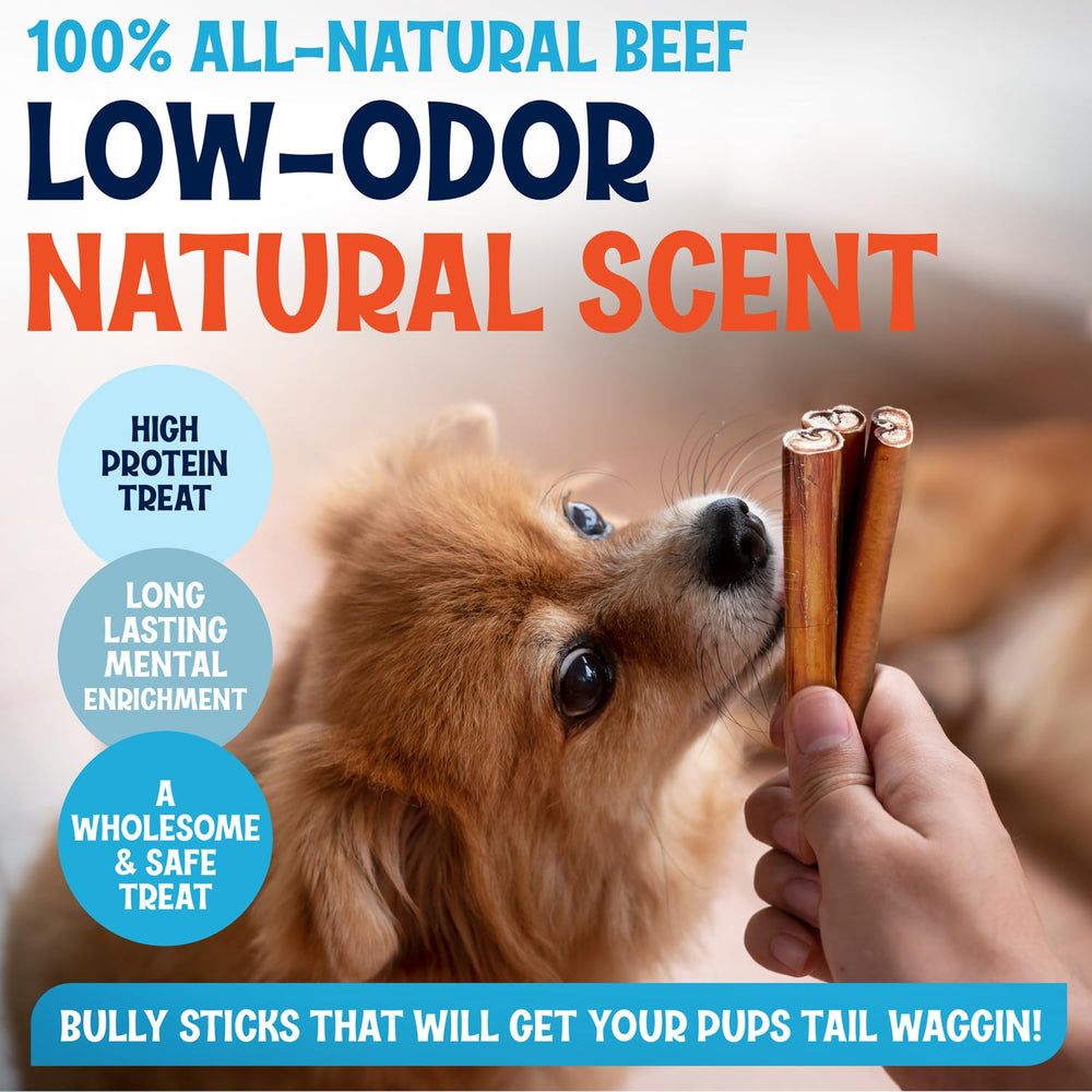 FETCHERONI jumbo bully stick olor bajo para interiores.