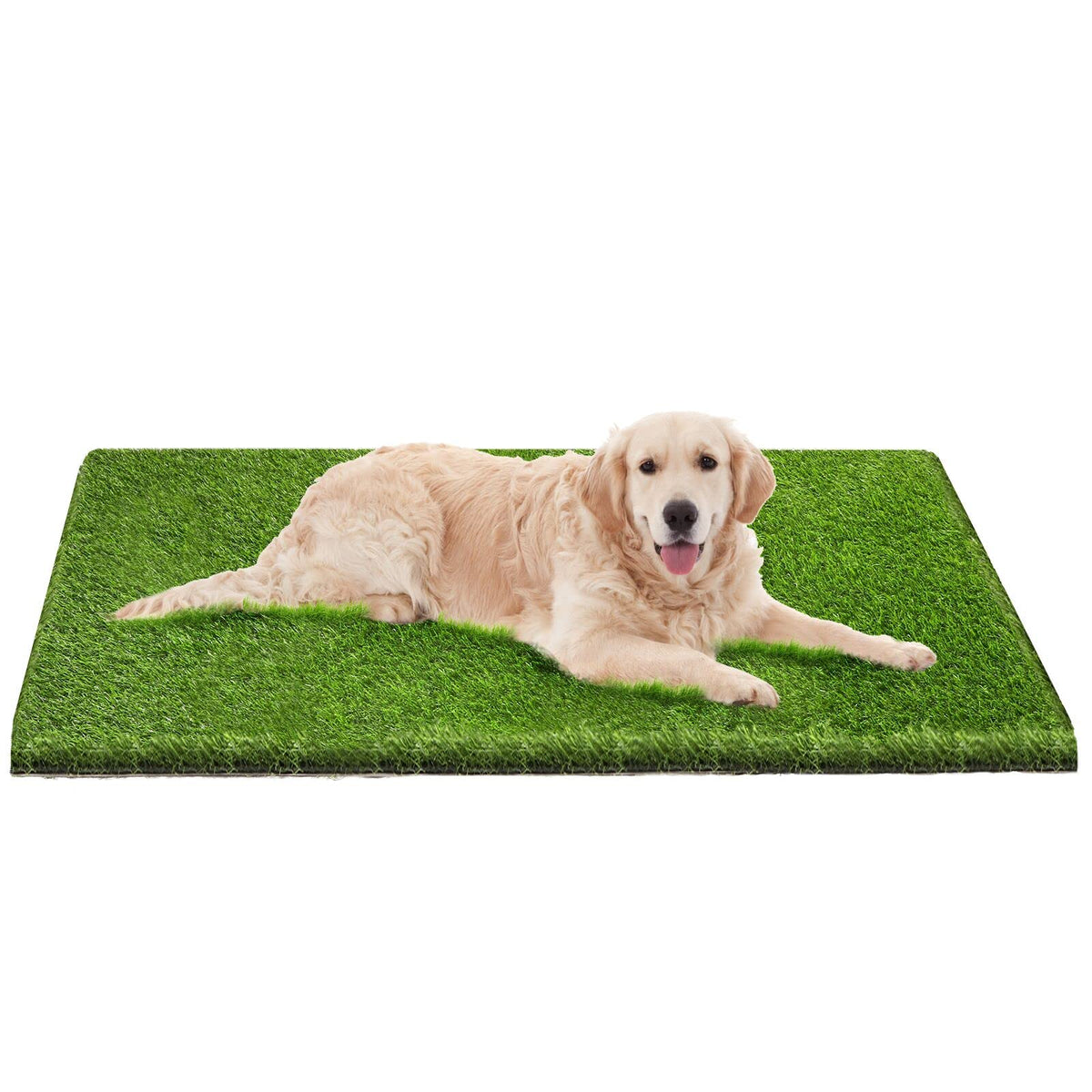 FezepYmaz césped artificial 26x51 para entrenamiento de perros en interiores.