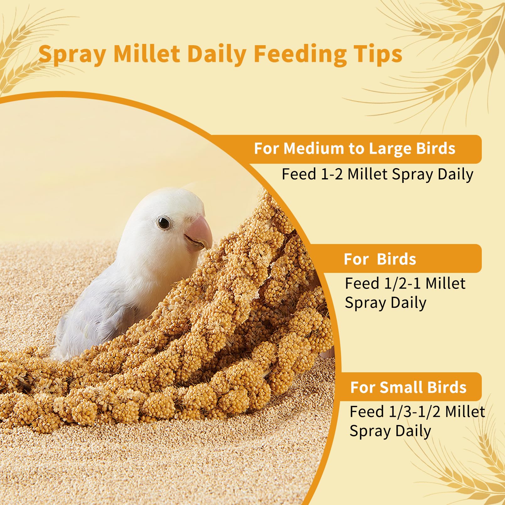Fhiny Mijo Spray para Aves: almacenamiento fácil y seguro