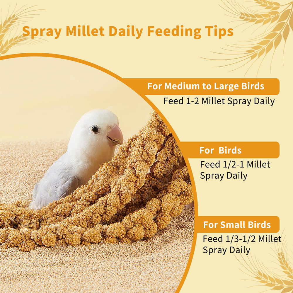 Fhiny Mijo Spray para Aves: almacenamiento fácil y seguro