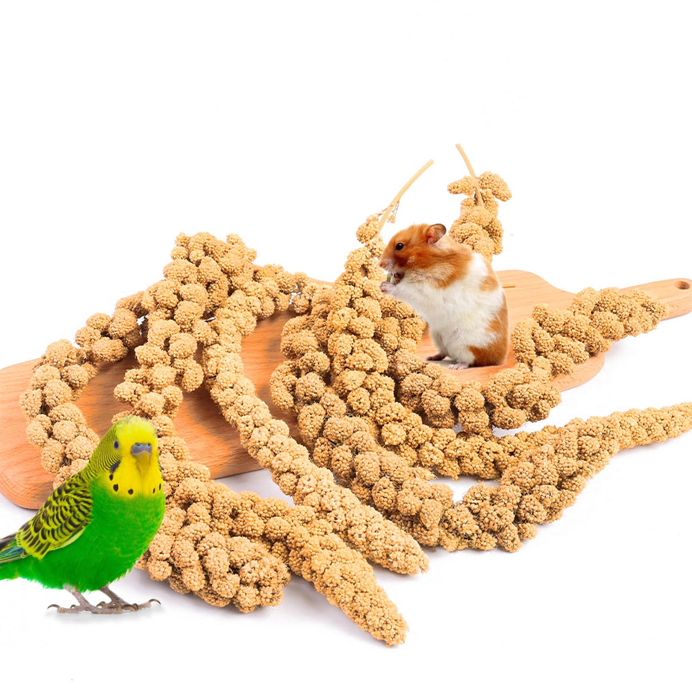 Fhiny Mijo Spray para Aves: embalaje práctico para alimentación diaria