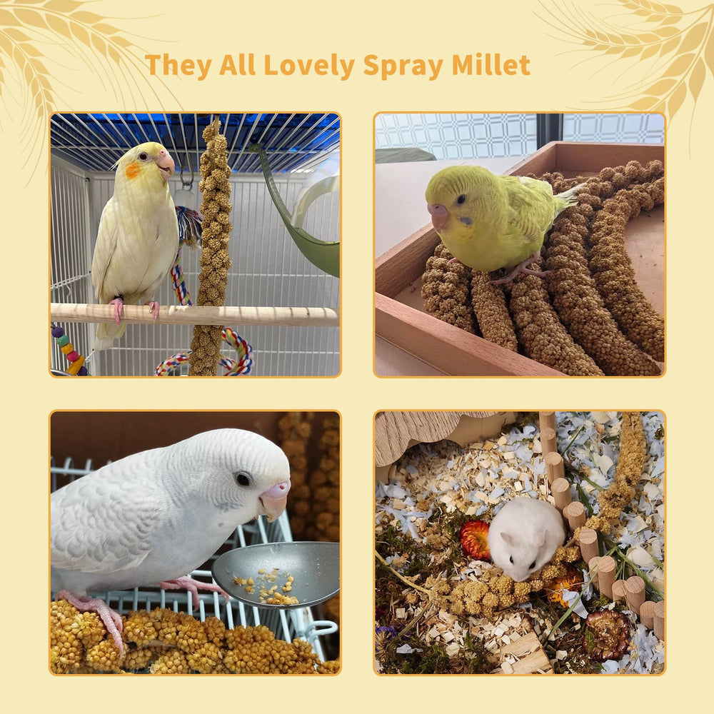 Fhiny Mijo Spray para Aves: ideal para entrenamiento y recompensa
