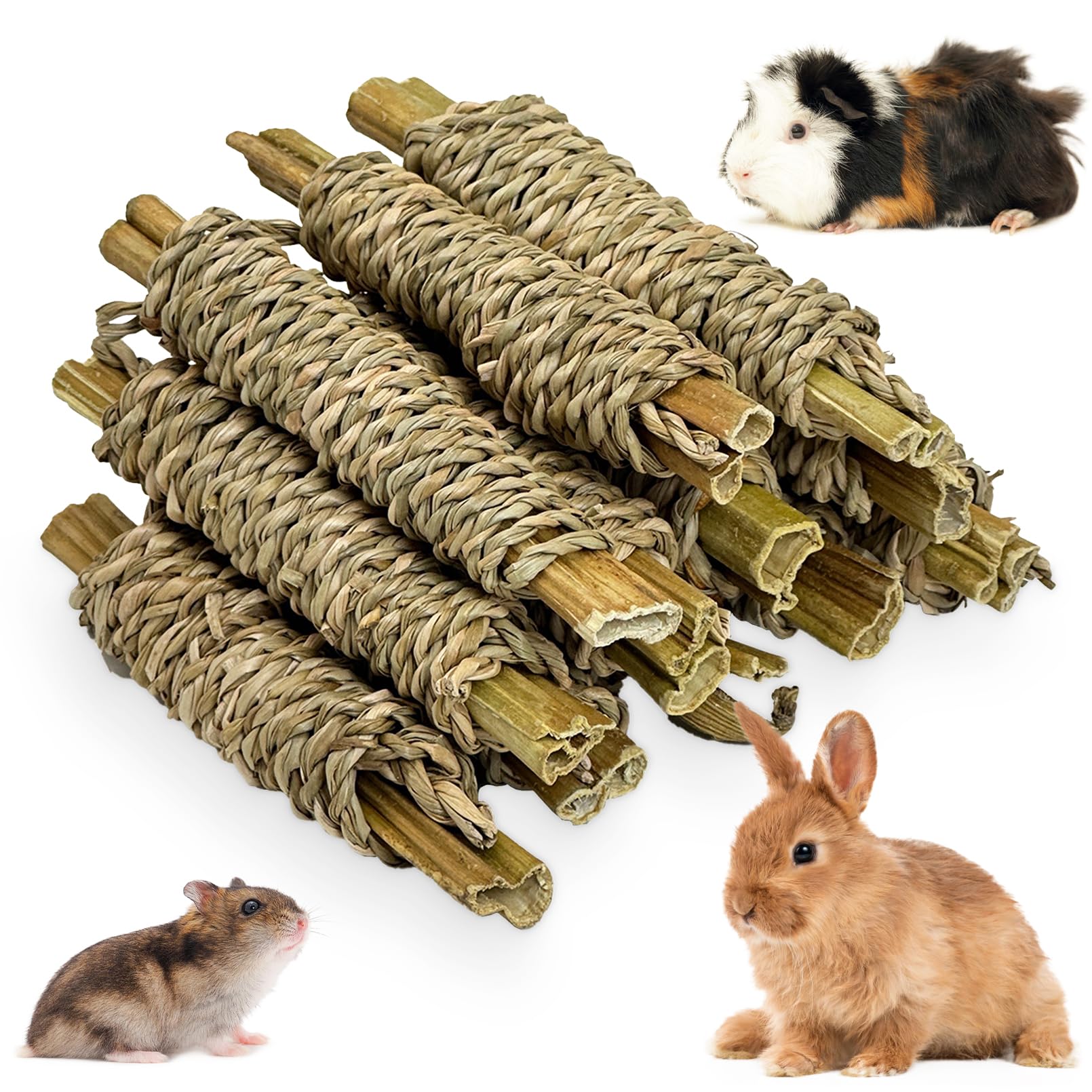 Fhiny palitos masticables para conejos: pastos marinos para entretener y cuidar dientes