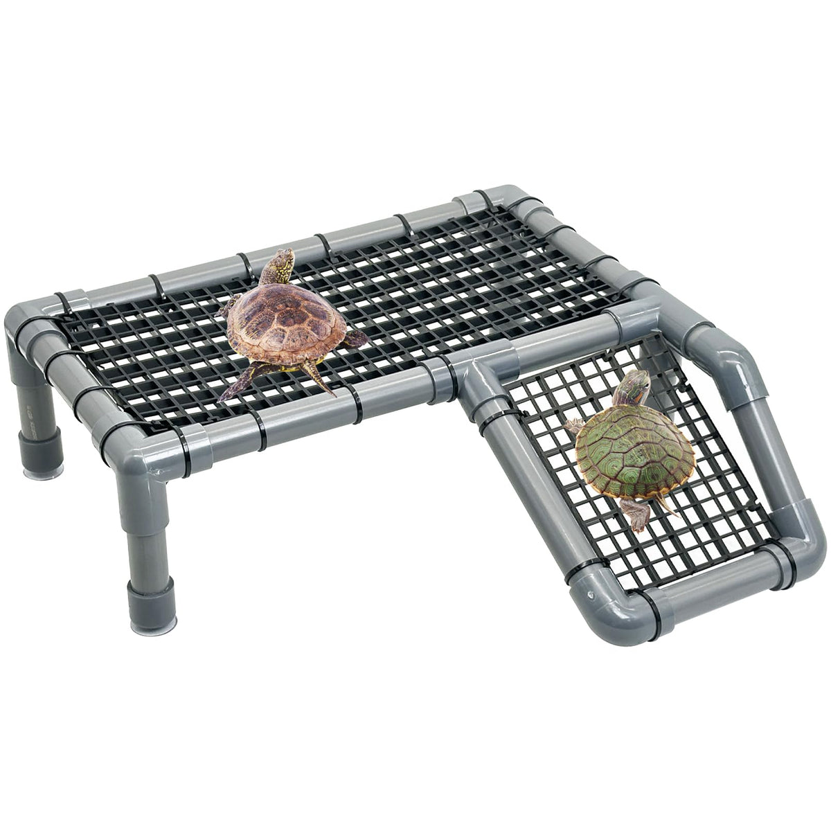 Fhiny plataforma tortugas tomar sol, descanso cómodo al aire libre.