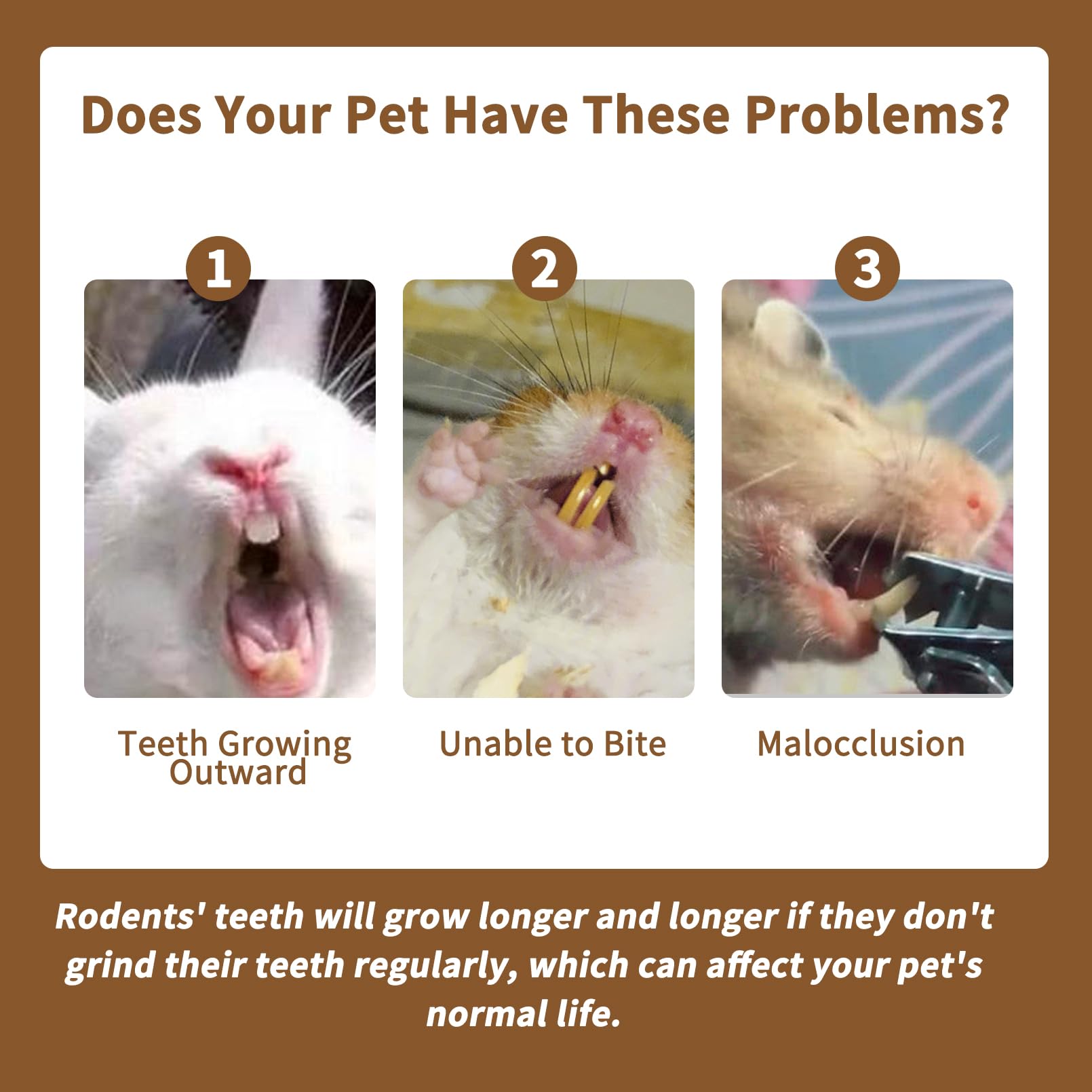 Fhiny snack para roedores: apto para conejos, cobayas y chinchillas