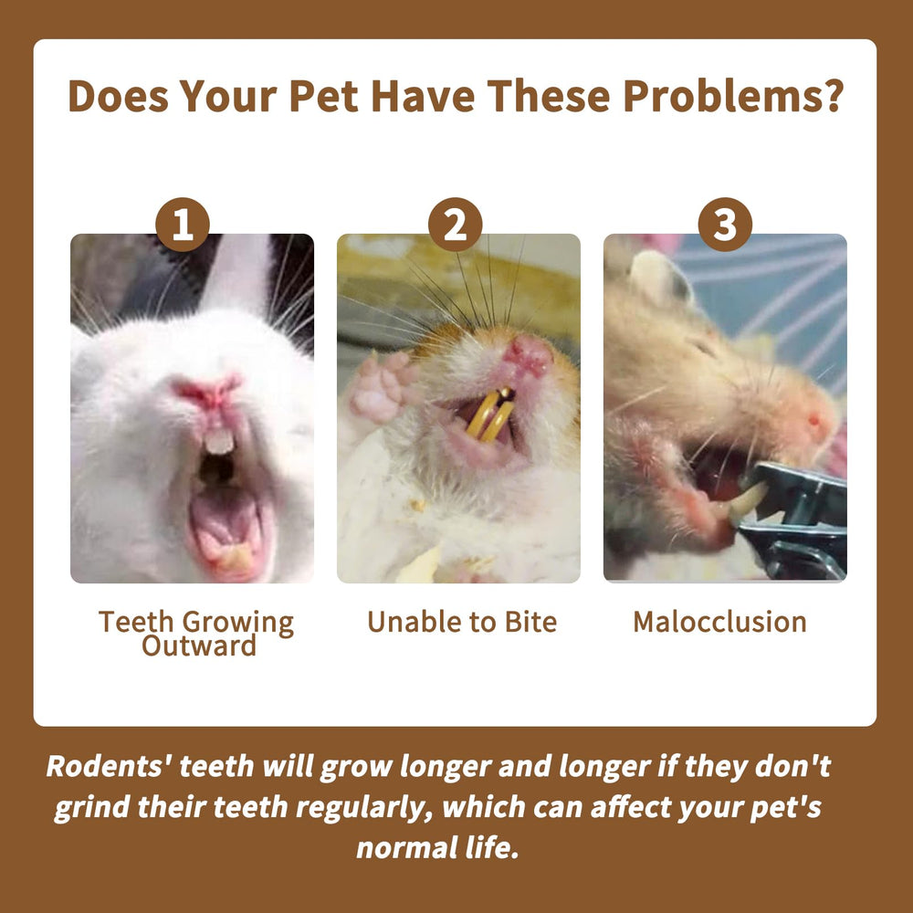 Fhiny snack para roedores: apto para conejos, cobayas y chinchillas