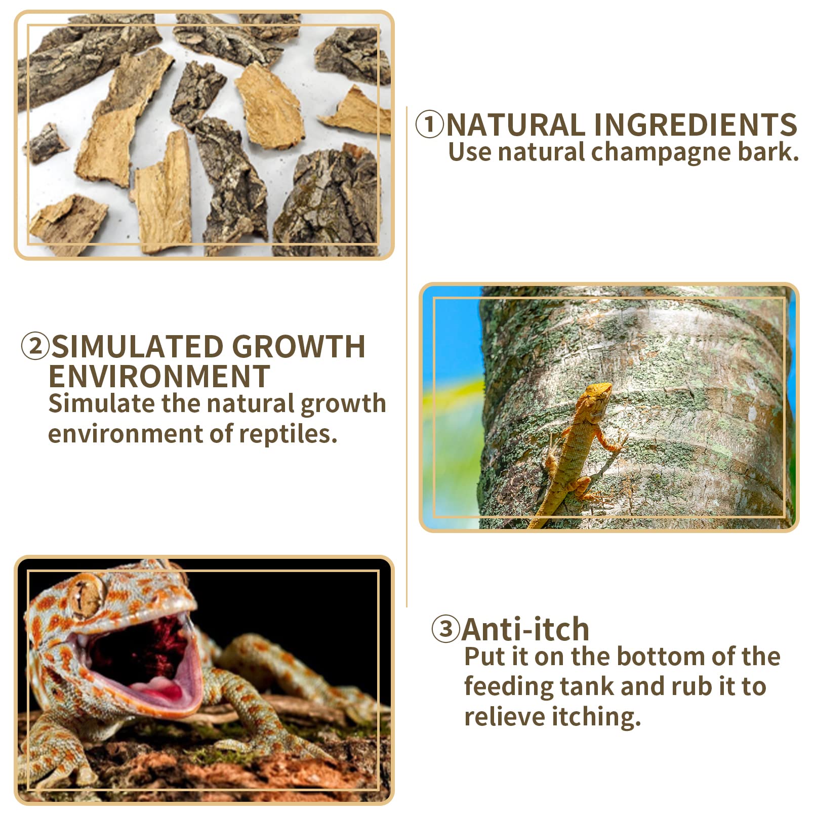 Fhiny superficie rugosa de corteza, facilita el agarre de reptiles.
