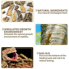Fhiny superficie rugosa de corteza, facilita el agarre de reptiles.
