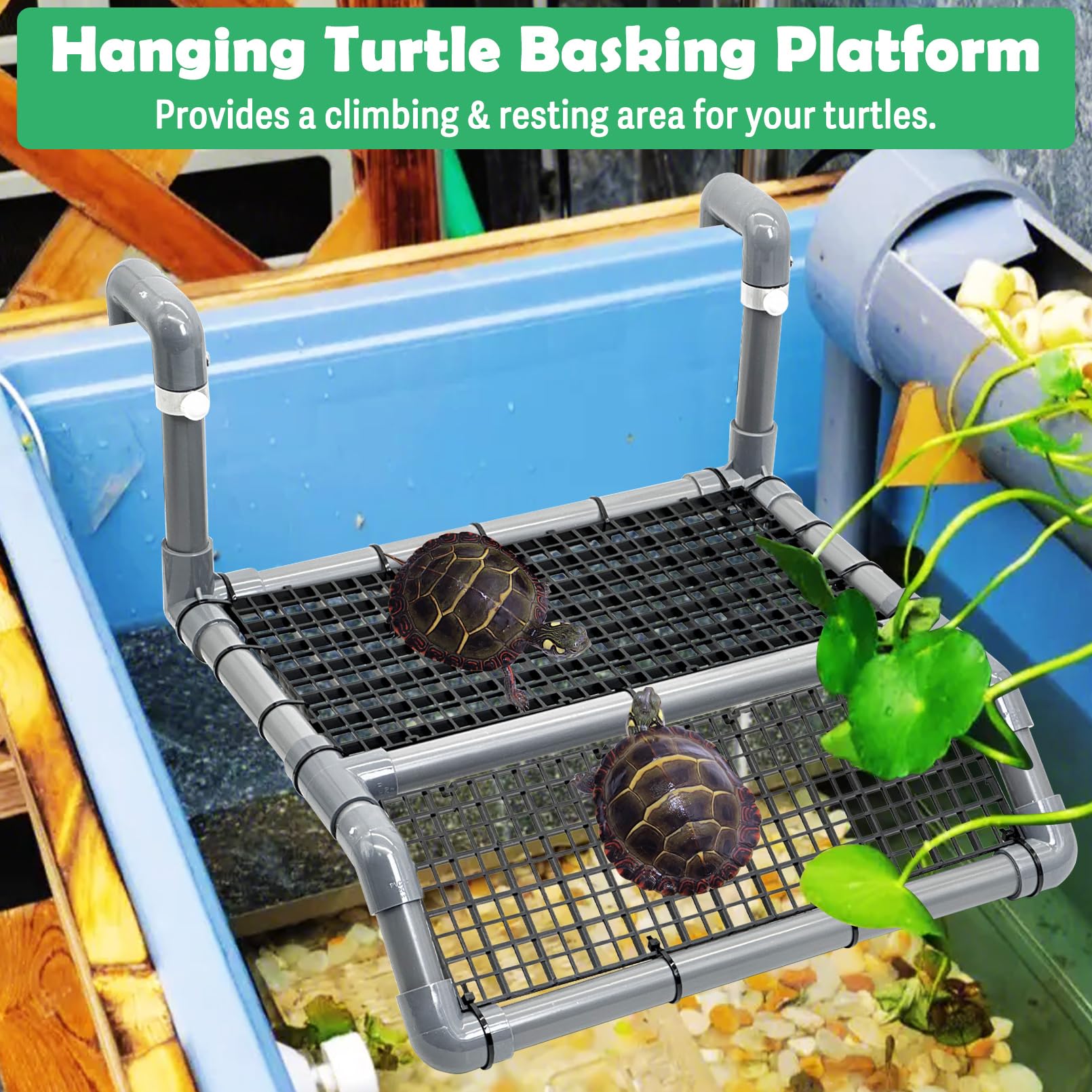 Fhiny superficie descanso tortuga para tomar el sol al exterior