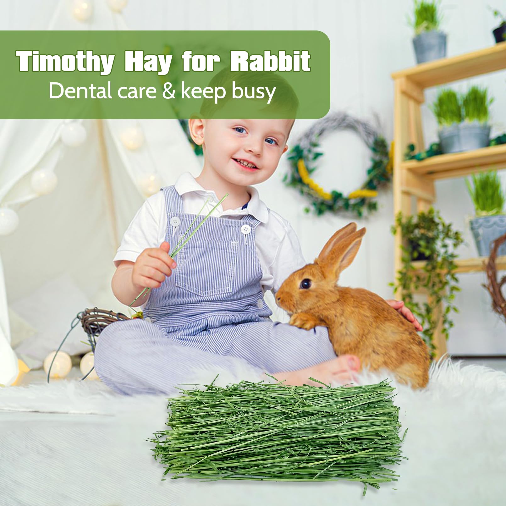 Fhiny Timothy Hay, aroma natural que invita a masticar de forma saludable.