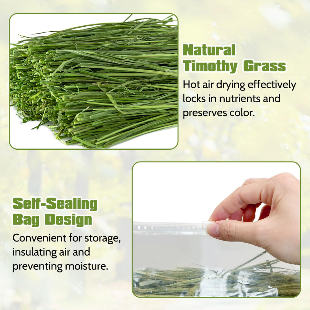 Fhiny Timothy Hay, hojas largas, ideal para masticar y entretenimiento diario.