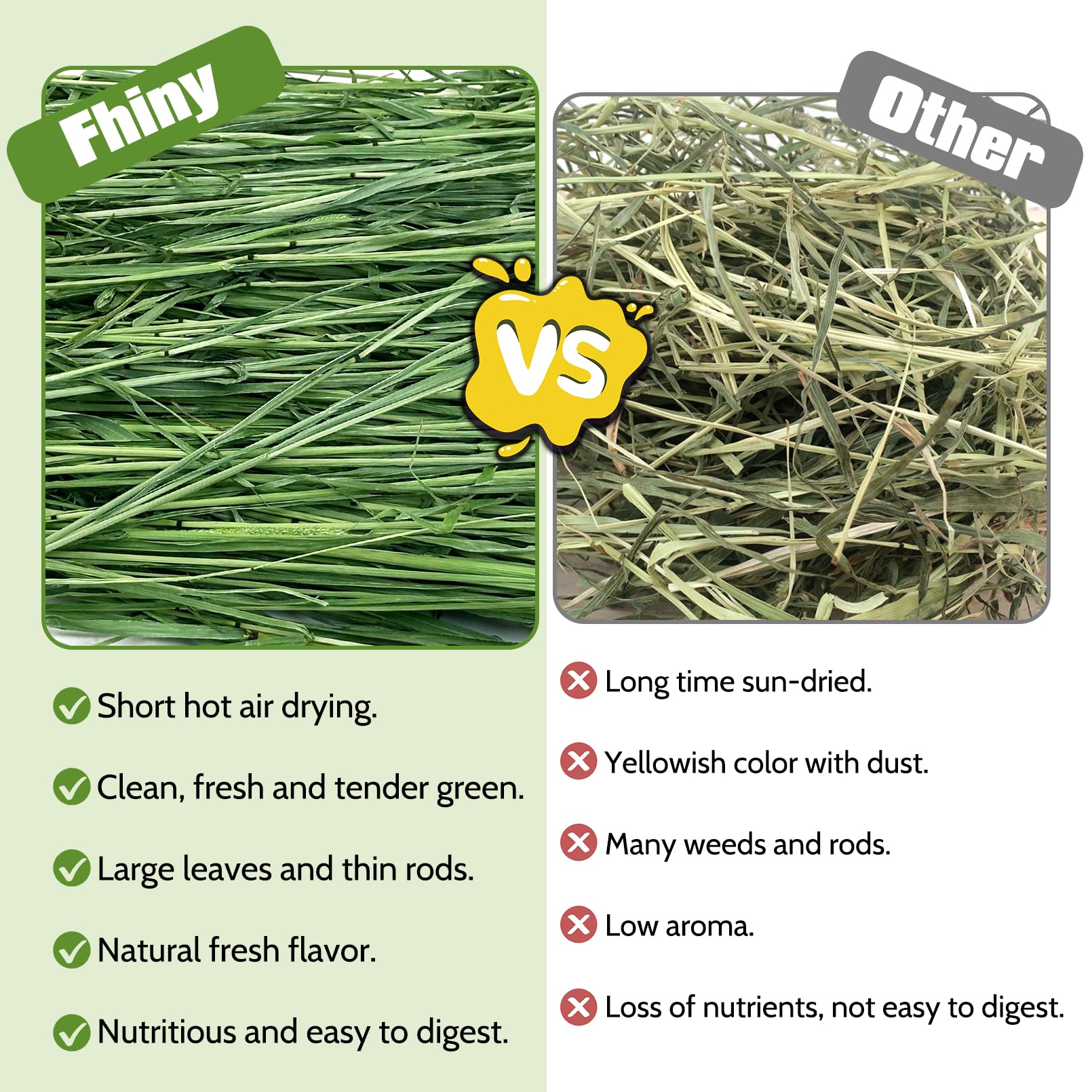 Fhiny Timothy Hay, uso diario ideal para roedores y conejos que disfrutan masticar.