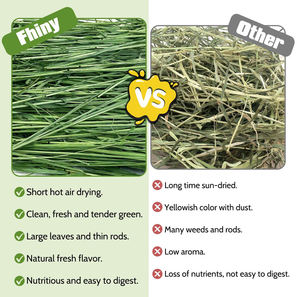 Fhiny Timothy Hay, uso diario ideal para roedores y conejos que disfrutan masticar.