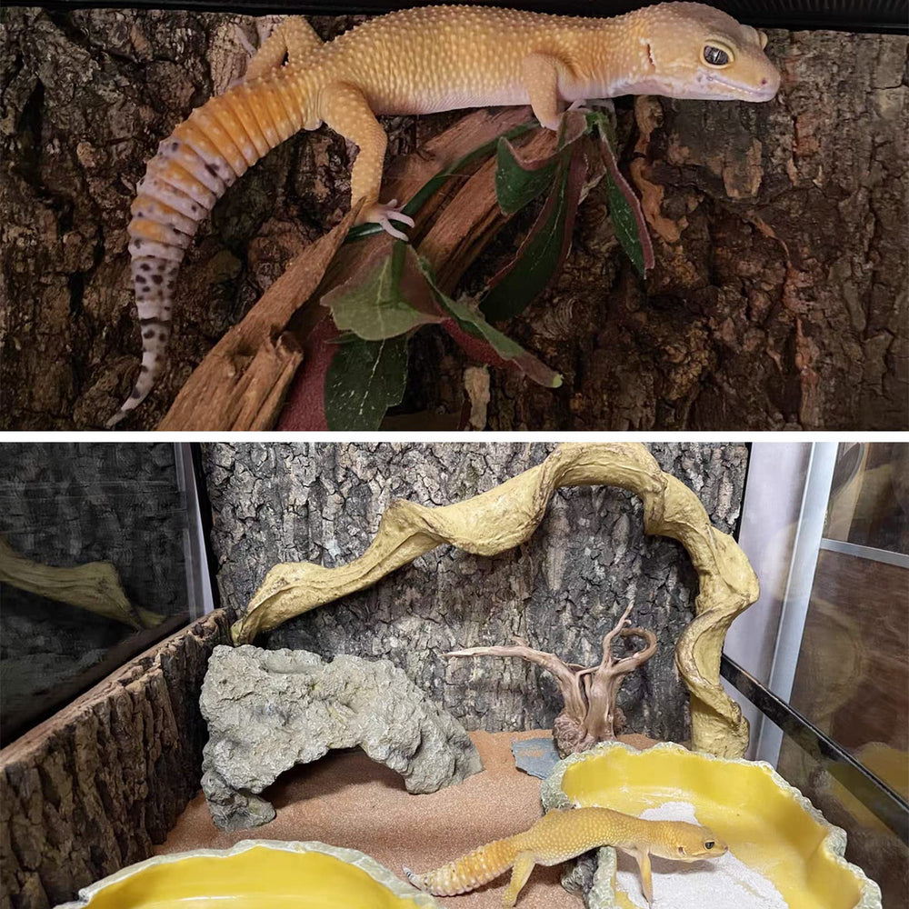 Fhiny zona de exploración para reptiles, fomenta ejercicio y exploración.