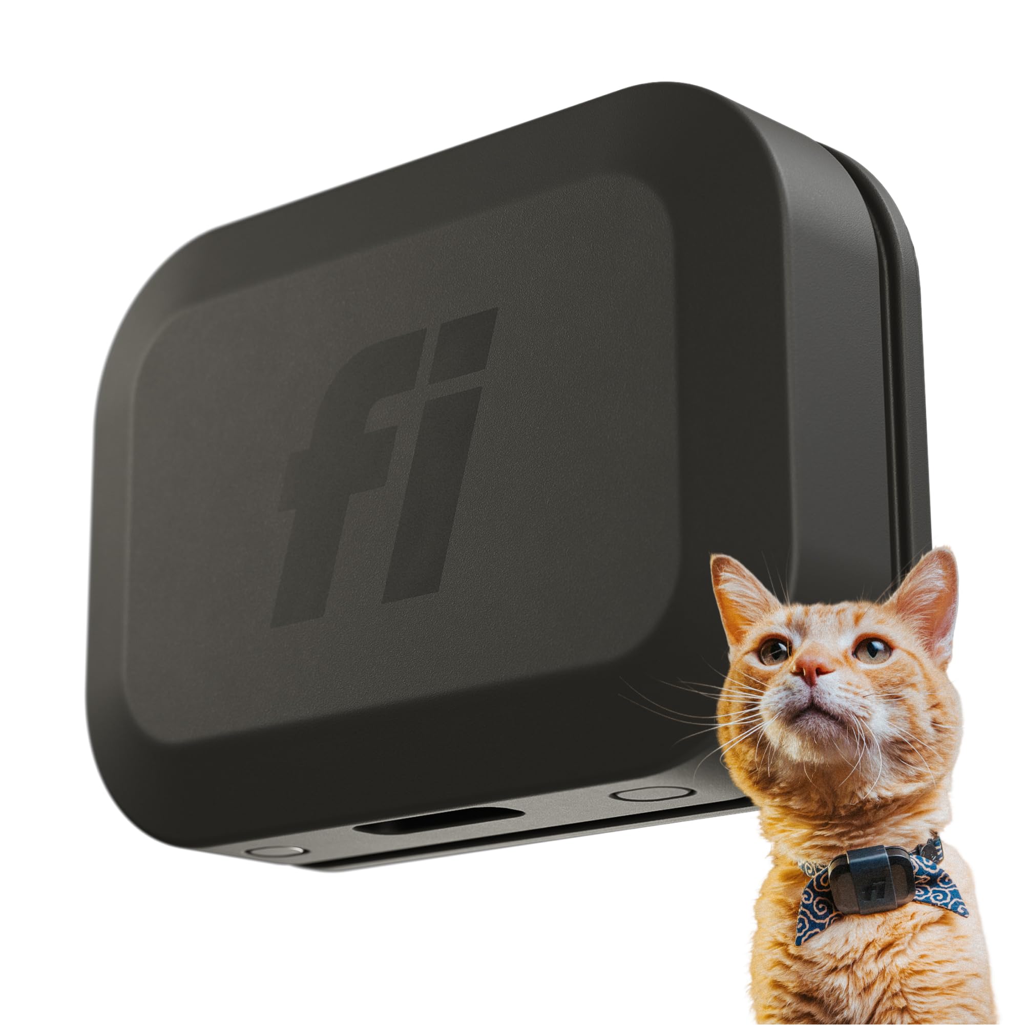 Fi Mini GPS Tracker en collar para gatos, localización en tiempo real.