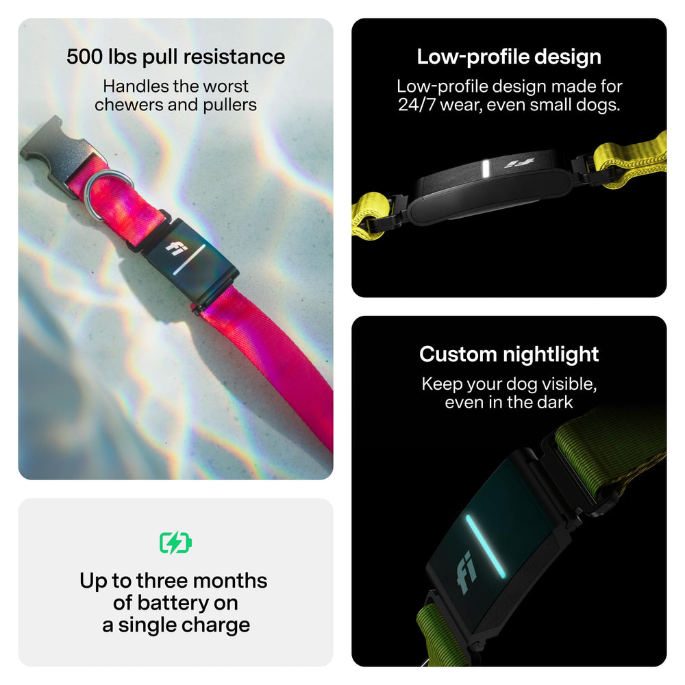Fi Series 3+ collar rosa en talla grande para perros grandes