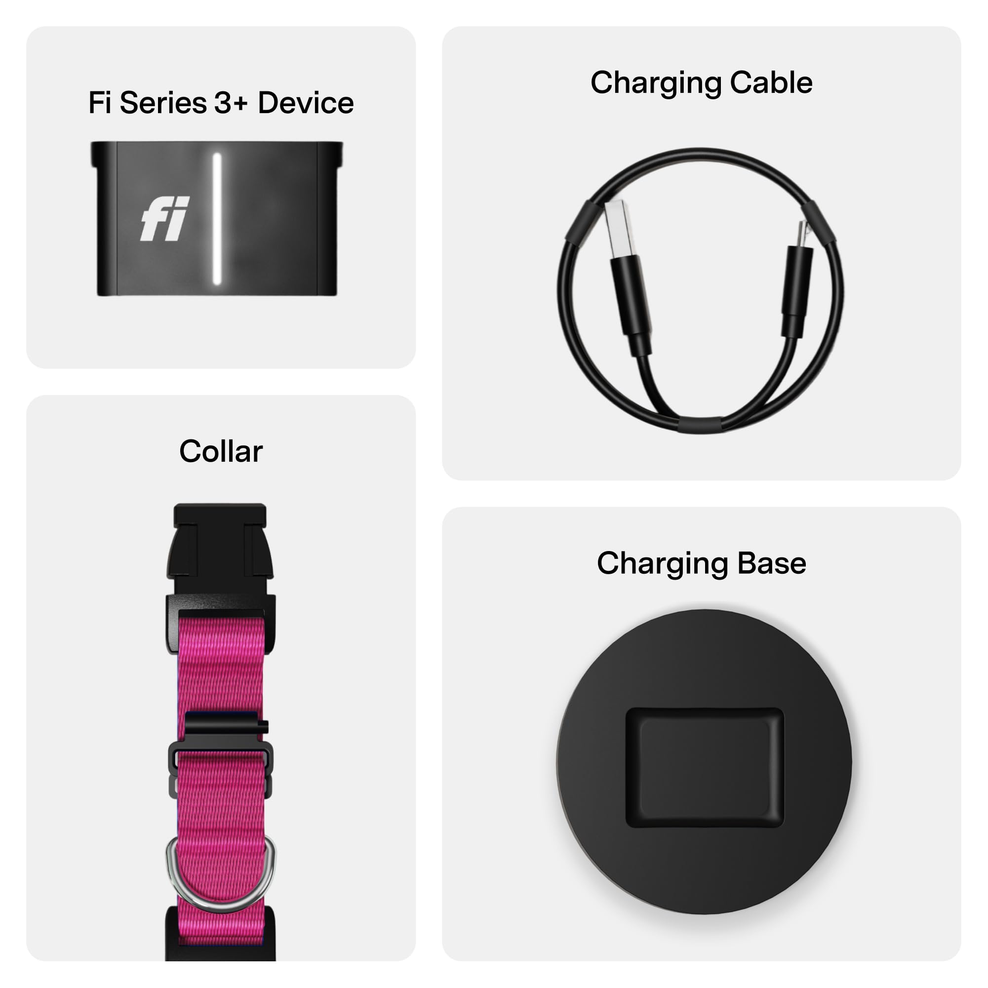 Fi Series 3+ monitoreo de actividad y descanso para entender hábitos