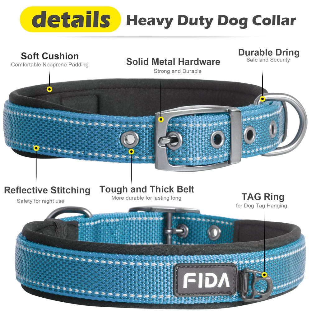 Collar Fida con cinta de nailon resistente para perros activos.