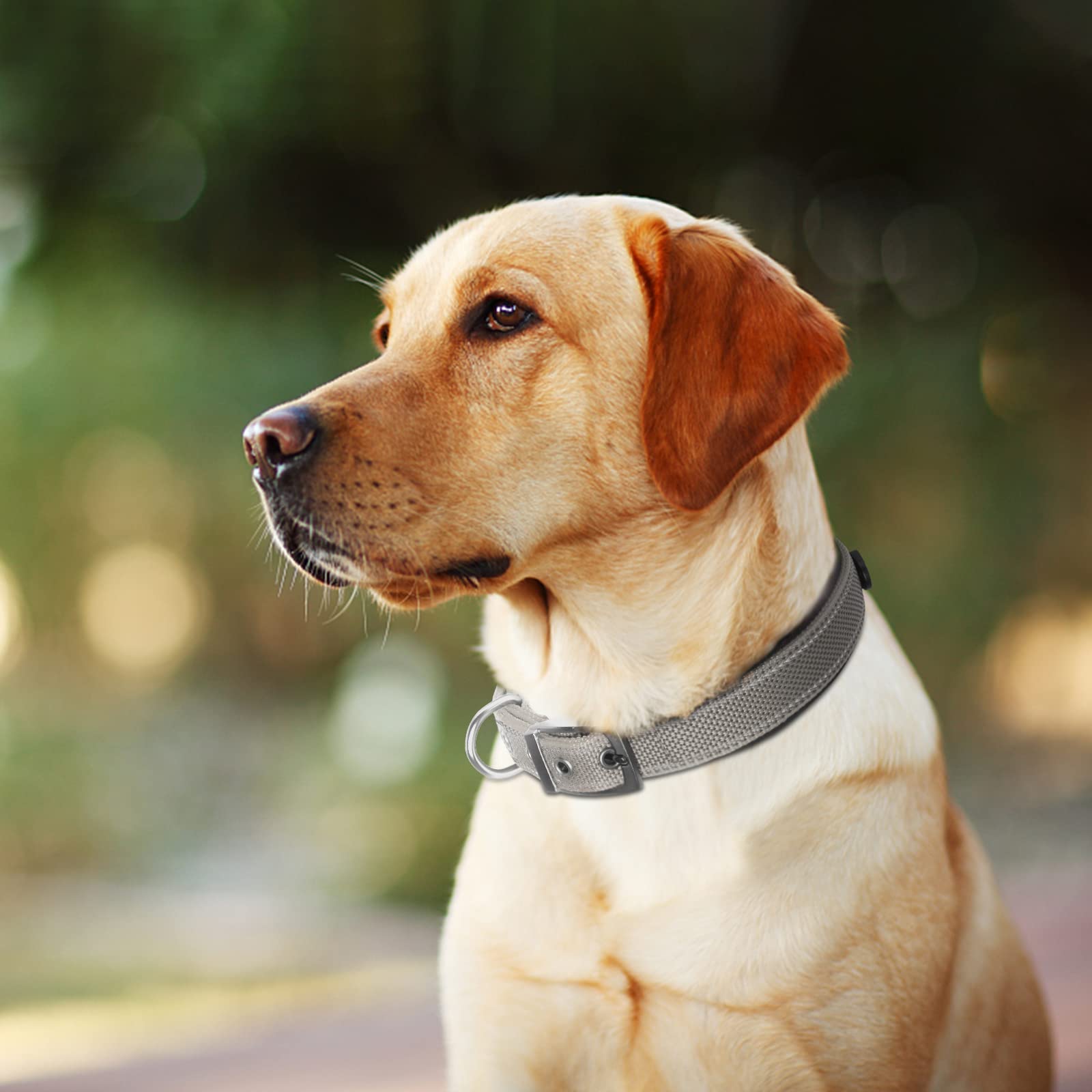 Collar Fida con garantía y servicio rápido de atención al cliente.