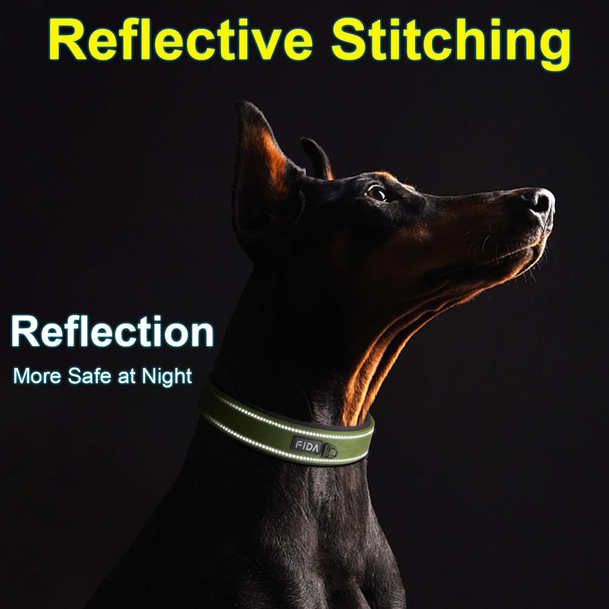 Collar Fida en nylon resistente para perros activos y exploradores.