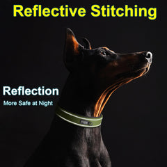 Collar Fida en nylon resistente para perros activos y exploradores.