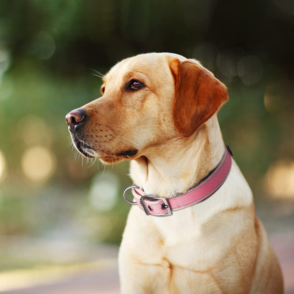 Visibilidad nocturna del collar Fida con reflectores en rosa