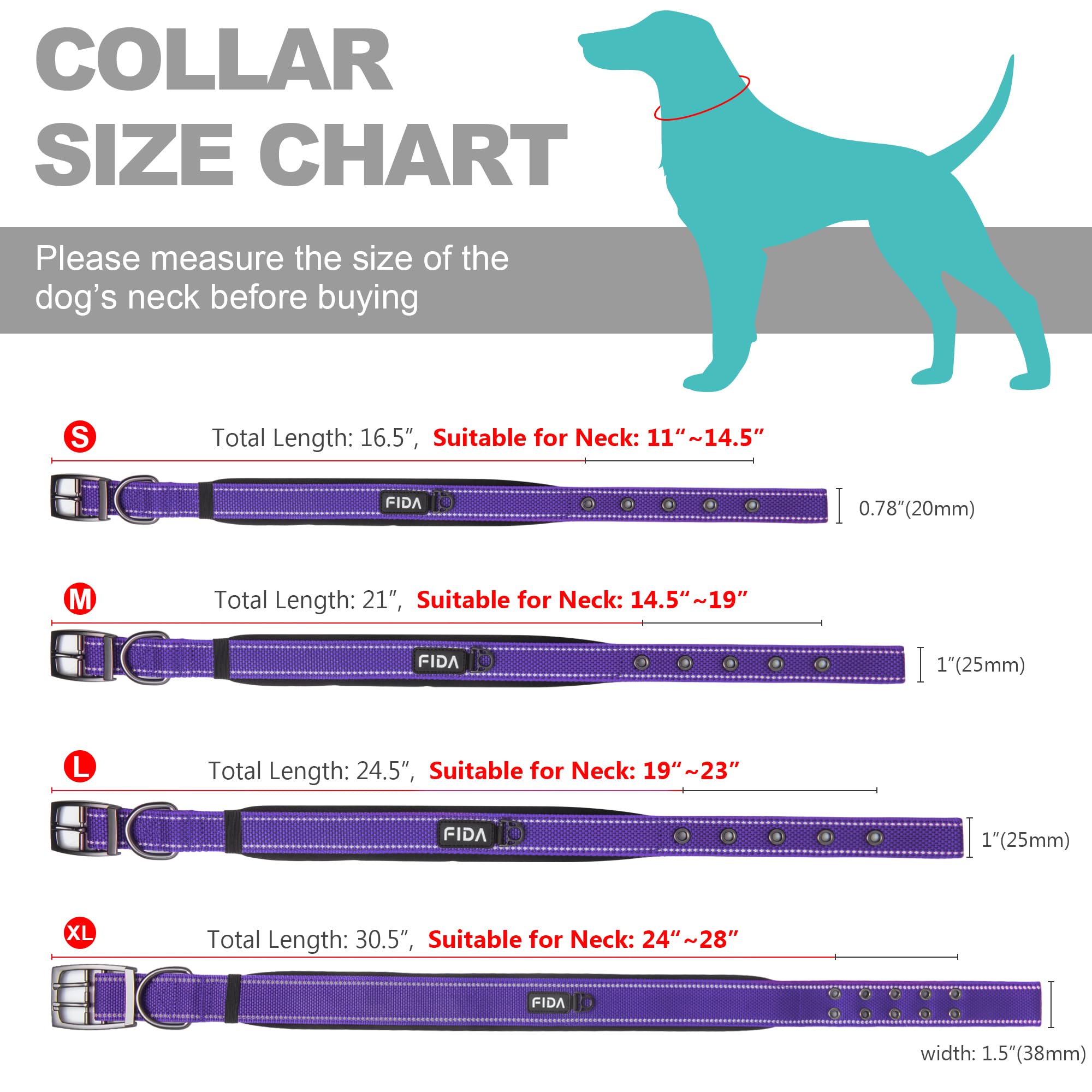 Collar Fida para paseos diarios y aventuras al aire libre.