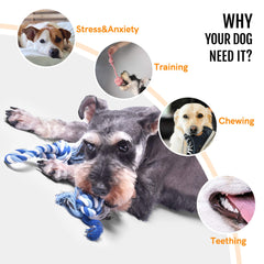 Juguetes de cuerda para perro de Fida para tirón y juego interactivo.