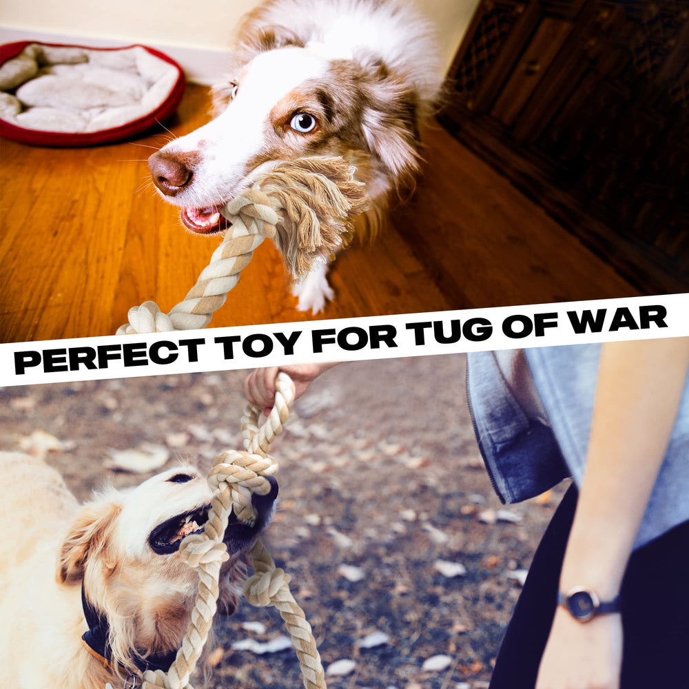 Regalo perfecto para perros activos, fomenta juego con Fida.