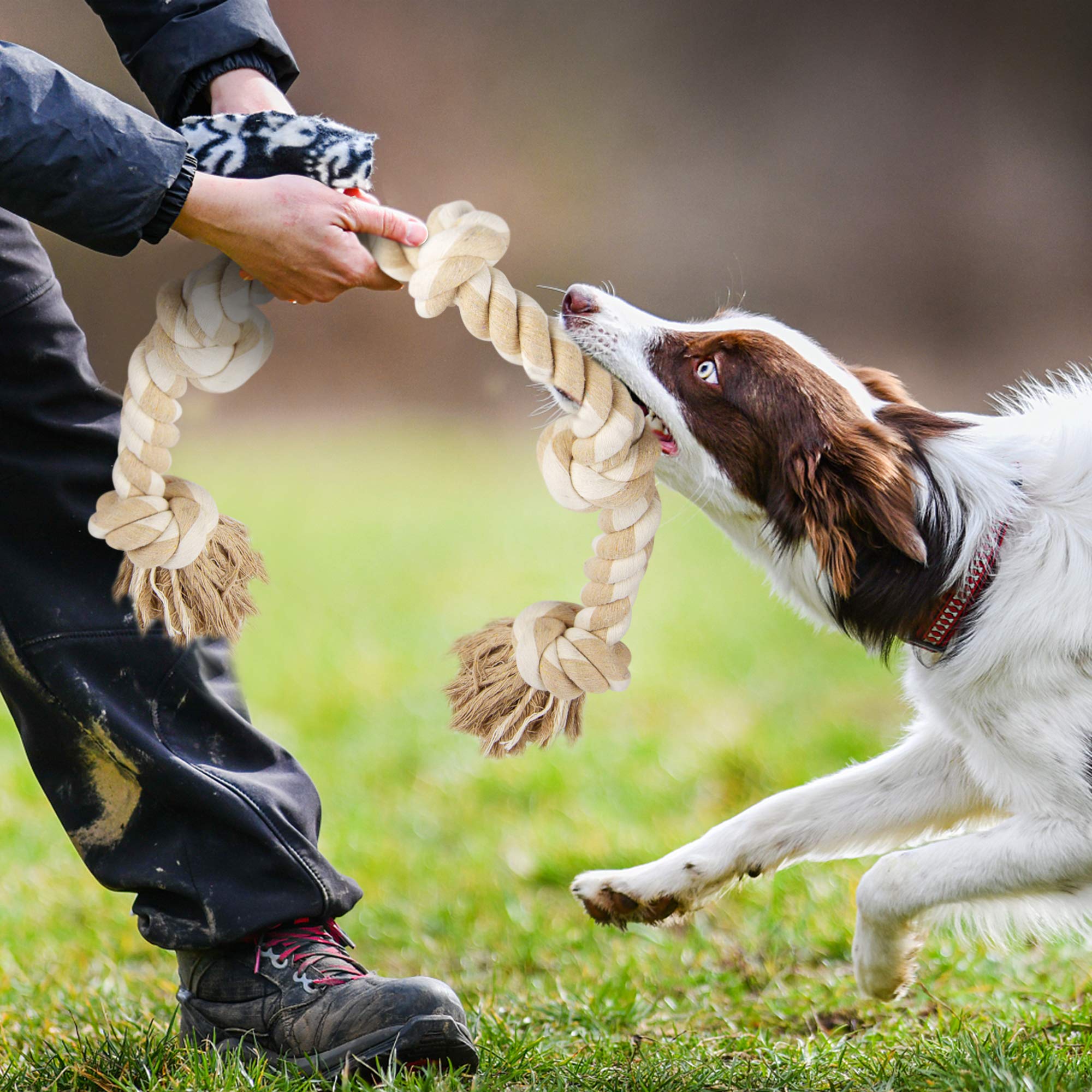 Regalo ideal Fida para perros grandes, fomenta juego interactivo.