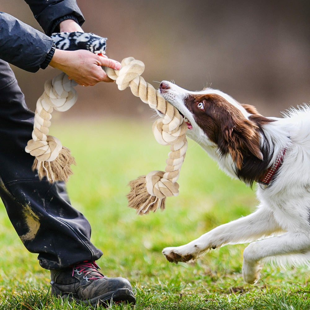Regalo ideal Fida para perros grandes, fomenta juego interactivo.