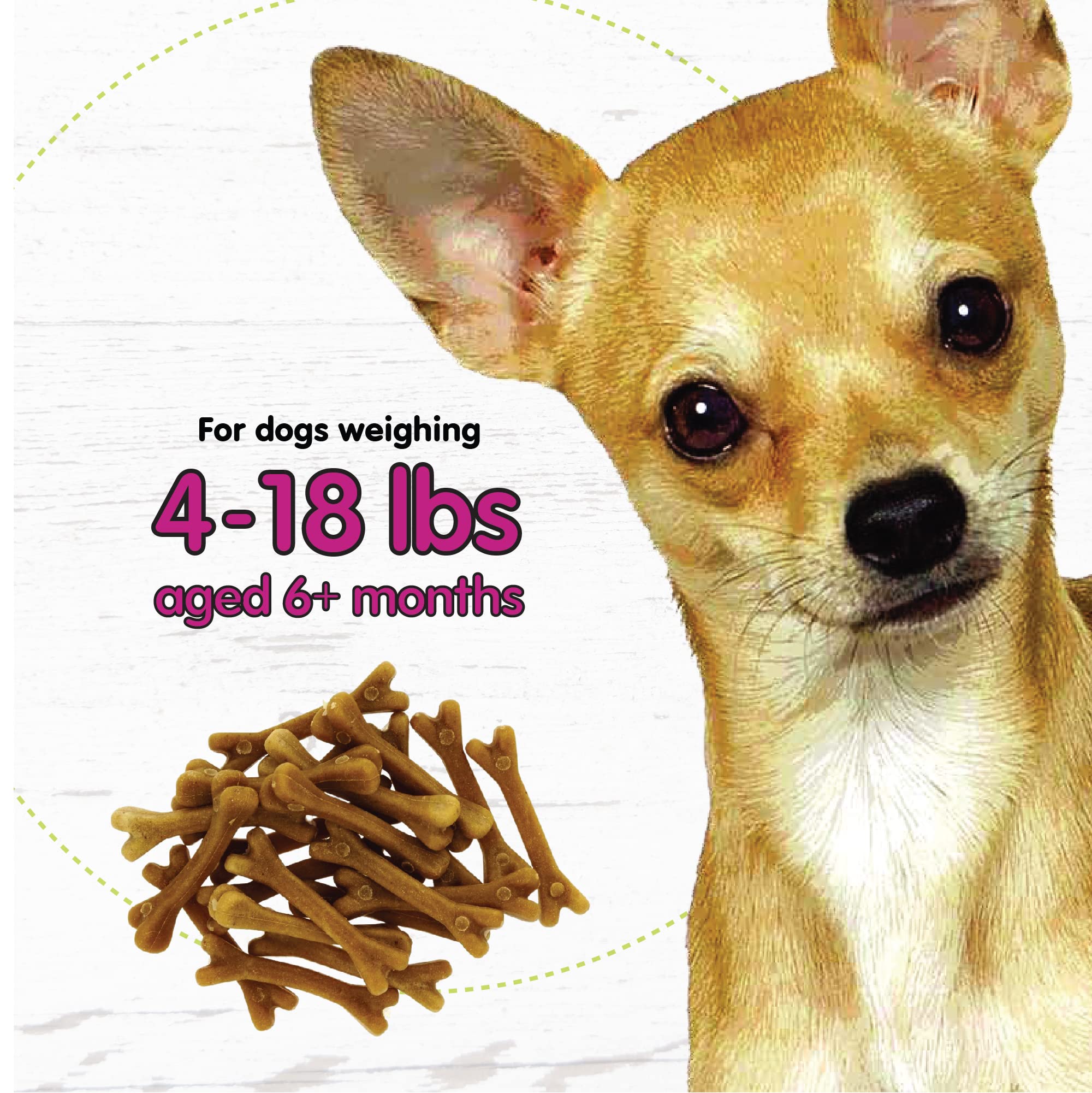 Fido Belly Bones mini, paquete de tres bolsas prácticas para casa