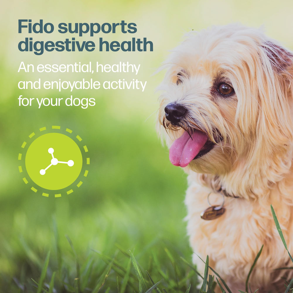 Fido Doozie Huesos Dental Caja de almacenamiento fácil de usar.