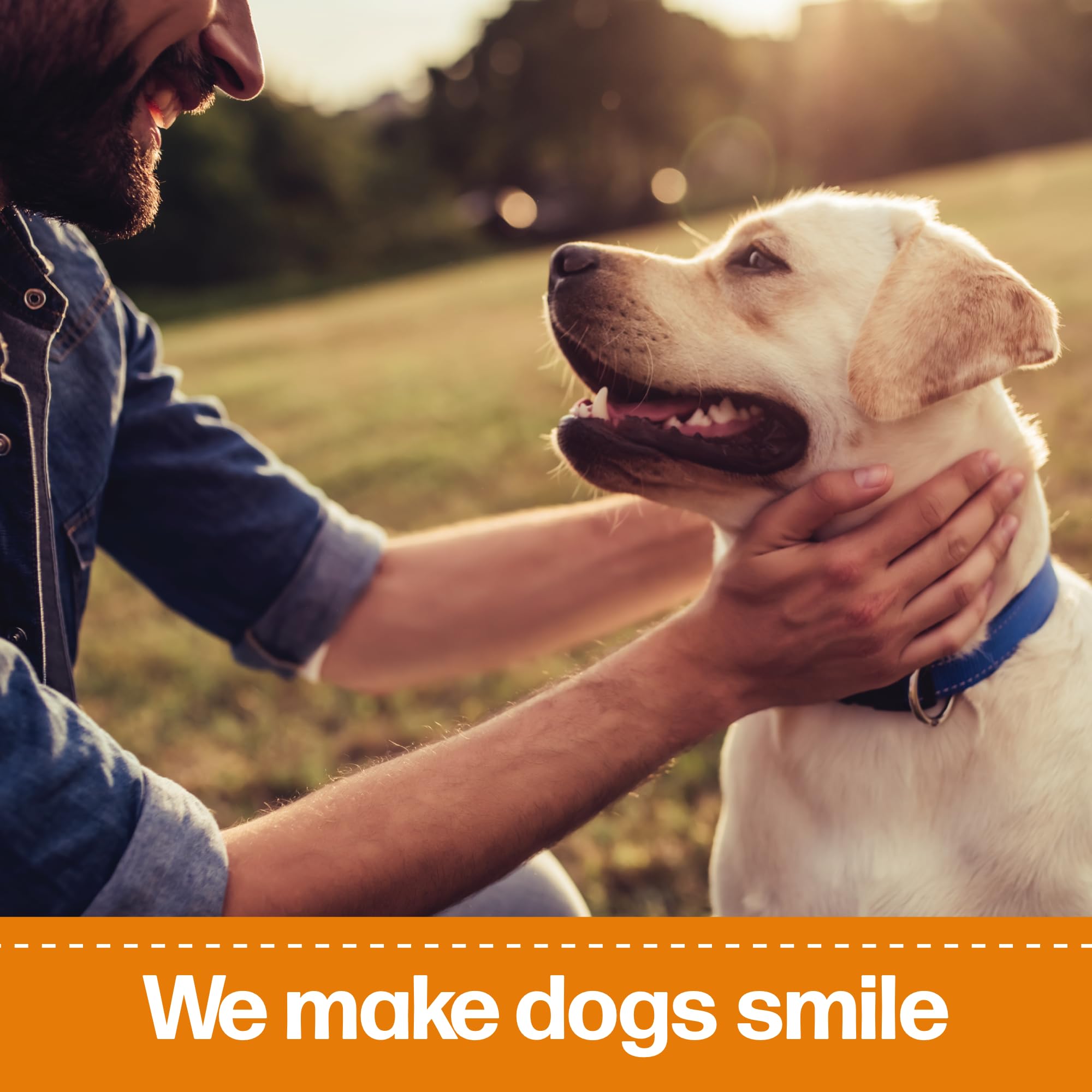 Fido Doozie Huesos Dental Rendimiento diario para mascotas felices.