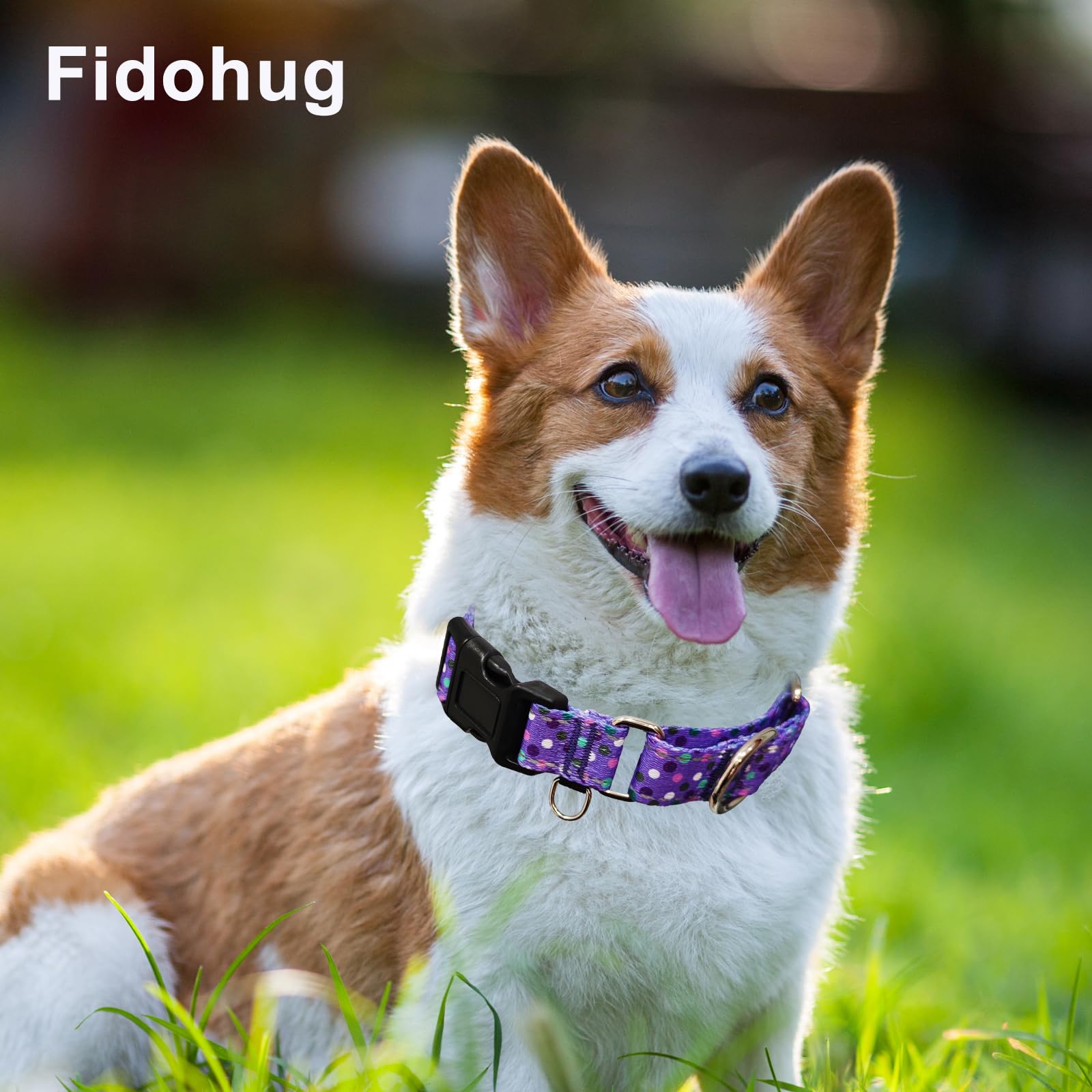 Nylon suave y seguro de Fidohug para paseos cómodos.