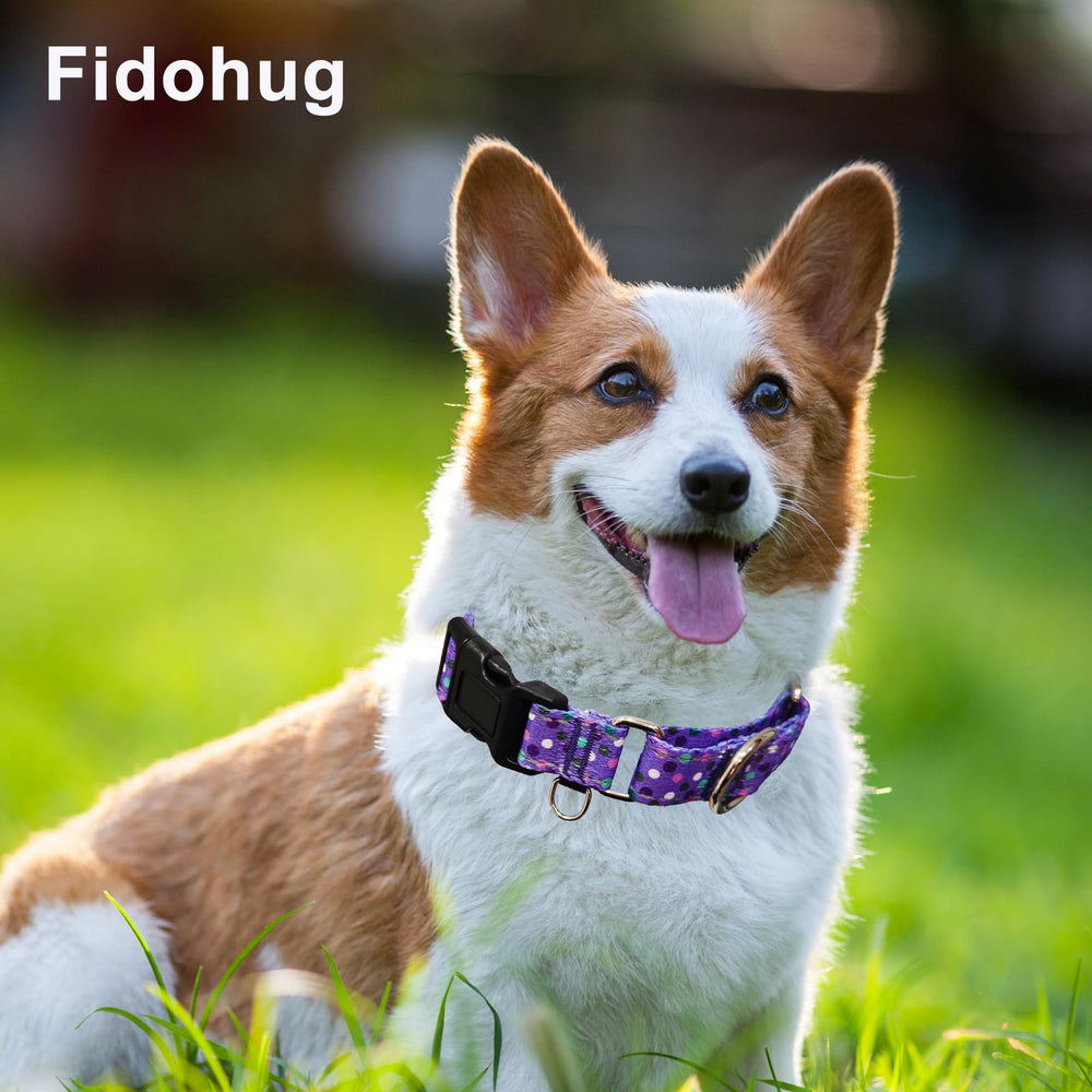 Nylon suave y seguro de Fidohug para paseos cómodos.