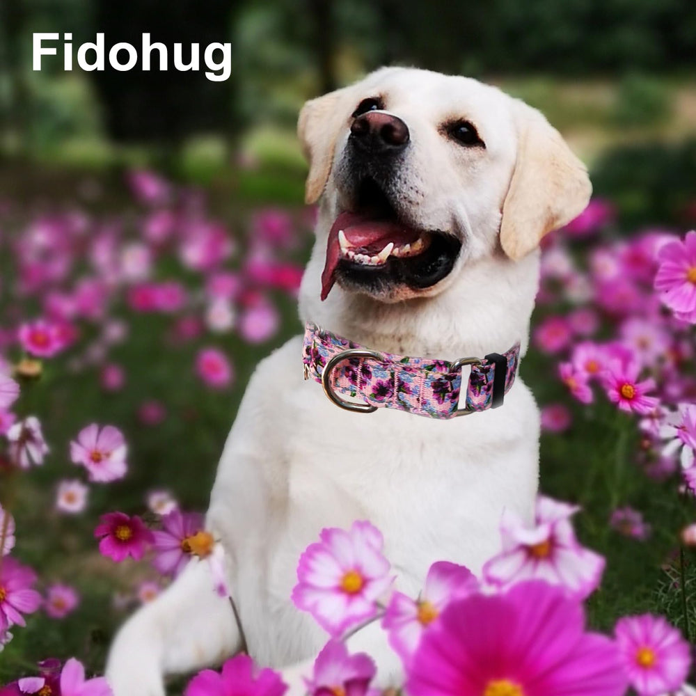 Fidohug collar floral de tela suave, variedad de patrones para personalizar la experiencia de paseo.