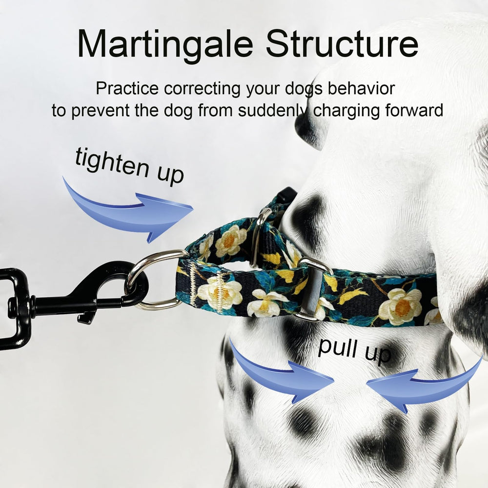 Fidohug collar martingale, fácil de limpiar y mantener su brillo.