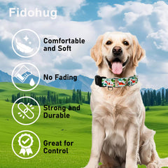 Diseños variados Fidohug, combina estilo y función en el collar martingale.