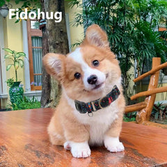 Diseño floral azul-rosado de Fidohug; collar elegante para salidas.