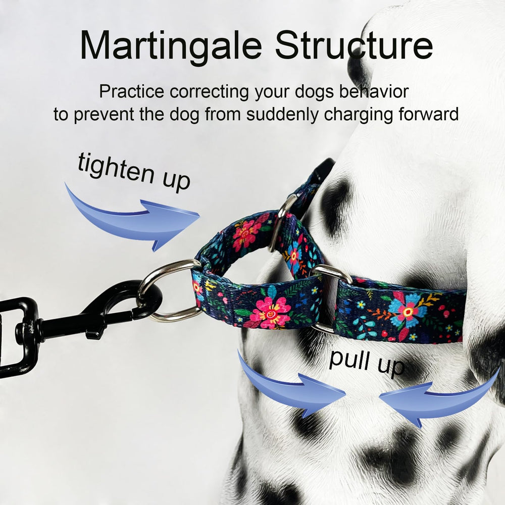 Materiales duraderos; Fidohug collar martingale soporta paseos activos.
