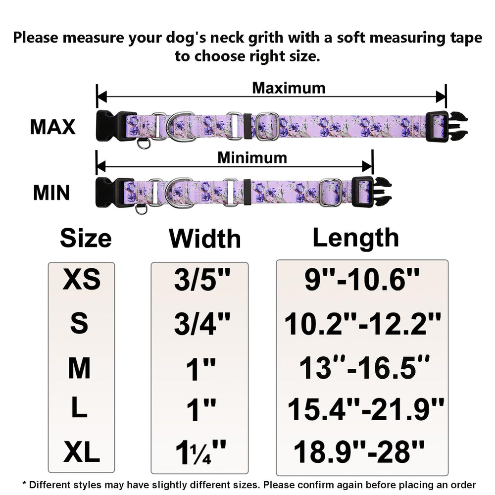Fidohug collar martingale floral lila, conjunto en uso para perro seguro.