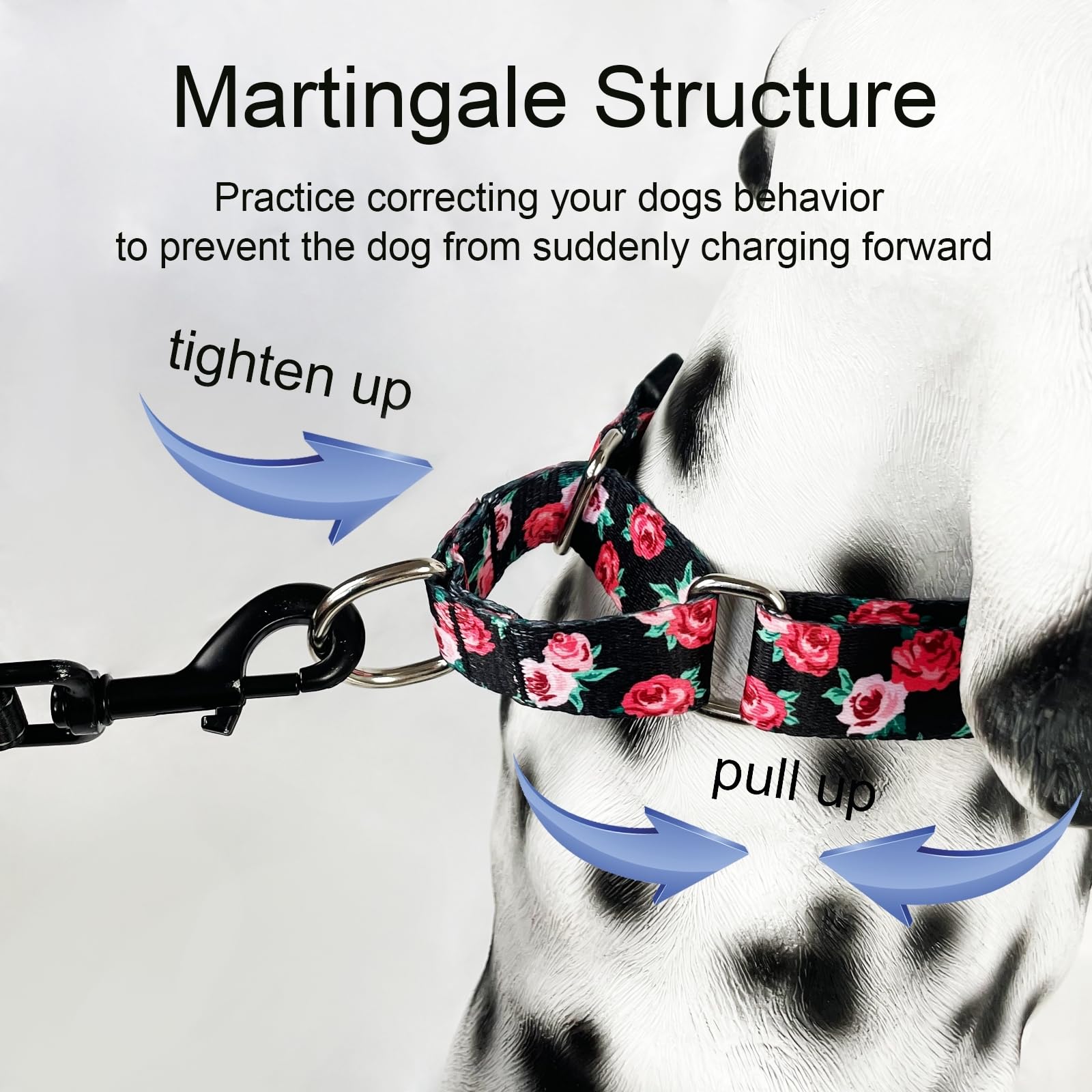 Cuidado y limpieza fáciles Fidohug martingale de nylon