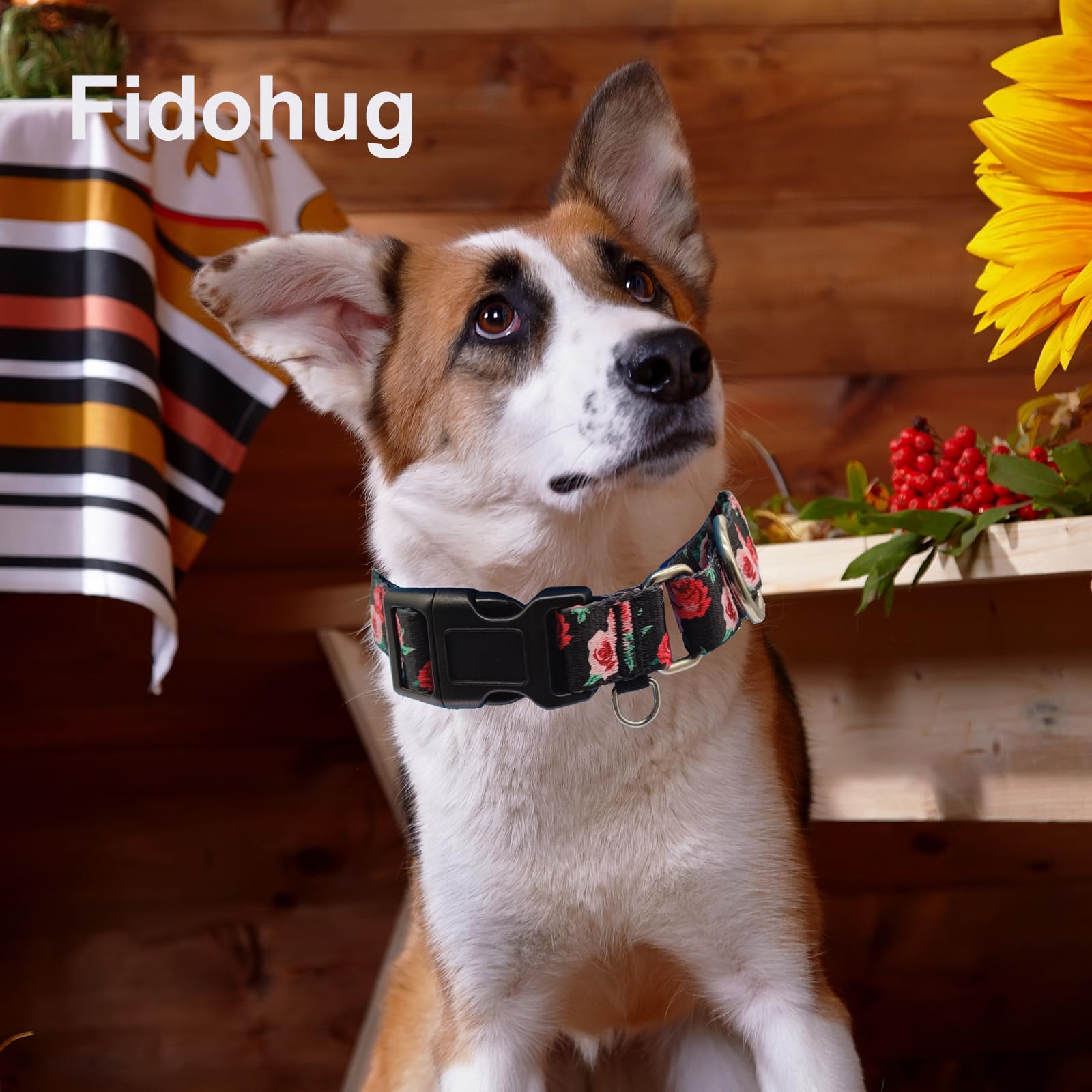 Nylon suave Fidohug martingale para comodidad durante paseos